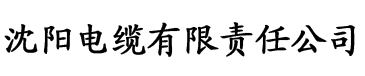 下载香蕉视频污污污电缆厂logo